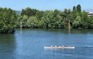 64be9dda0226a_IMG20220613WA0002.jpg